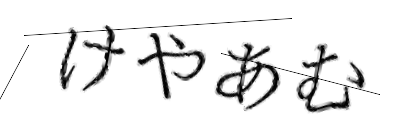 CAPTCHA画像