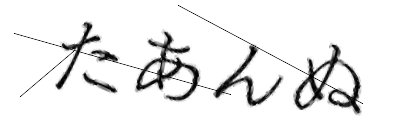 CAPTCHA画像