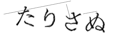 CAPTCHA画像