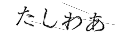 CAPTCHA画像
