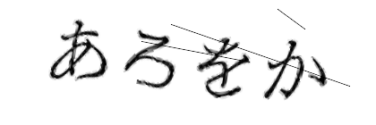 CAPTCHA画像