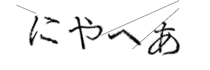 CAPTCHA画像