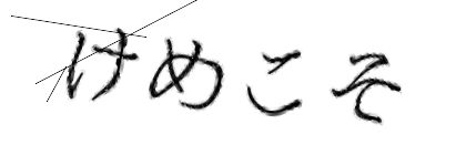 CAPTCHA画像
