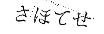 CAPTCHA画像
