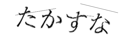CAPTCHA画像