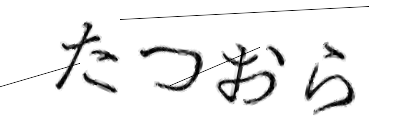 CAPTCHA画像