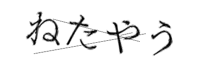 CAPTCHA画像
