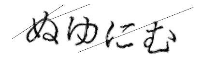 CAPTCHA画像
