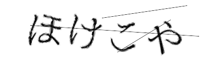 CAPTCHA画像