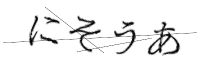 CAPTCHA画像