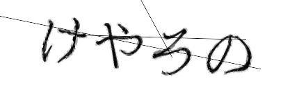 CAPTCHA画像