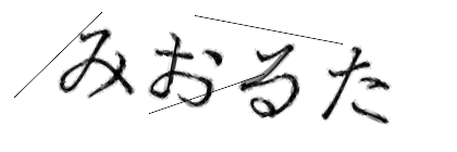 CAPTCHA画像