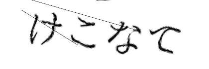 CAPTCHA画像