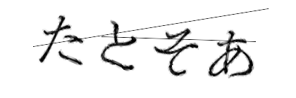 CAPTCHA画像