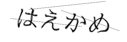 CAPTCHA画像