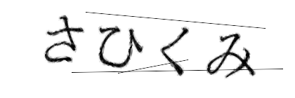 CAPTCHA画像