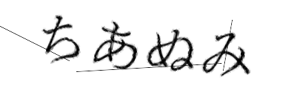 CAPTCHA画像