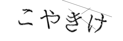 CAPTCHA画像