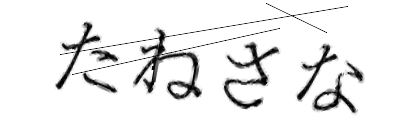 CAPTCHA画像