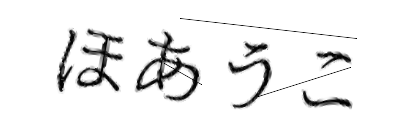 CAPTCHA画像
