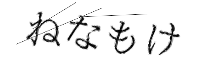 CAPTCHA画像