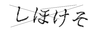 CAPTCHA画像