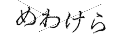 CAPTCHA画像