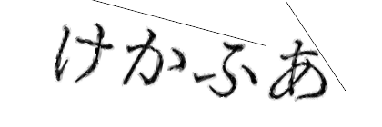 CAPTCHA画像