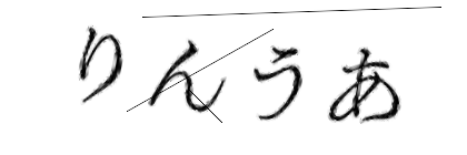 CAPTCHA画像