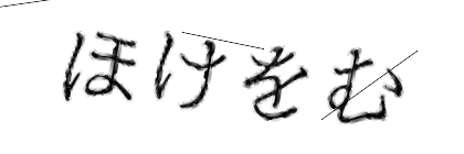 CAPTCHA画像