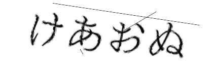 CAPTCHA画像
