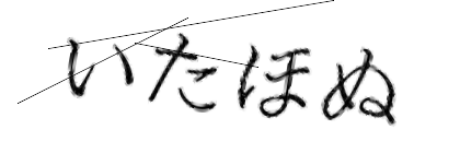 CAPTCHA画像
