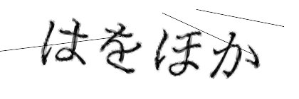 CAPTCHA画像