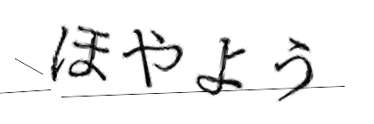 CAPTCHA画像