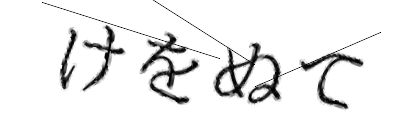 CAPTCHA画像