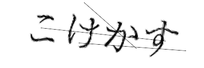 CAPTCHA画像