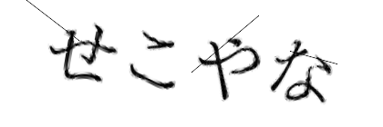 CAPTCHA画像