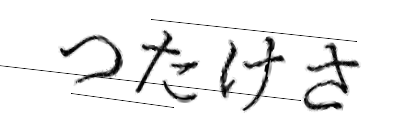 CAPTCHA画像