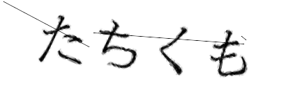 CAPTCHA画像