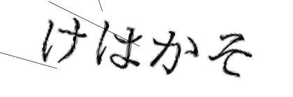 CAPTCHA画像