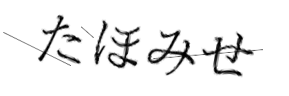 CAPTCHA画像