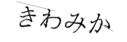 CAPTCHA画像