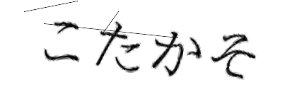 CAPTCHA画像