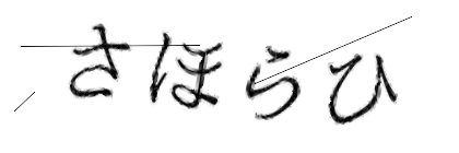 CAPTCHA画像