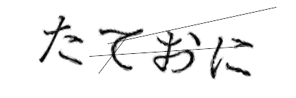 CAPTCHA画像