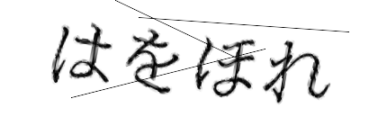 CAPTCHA画像