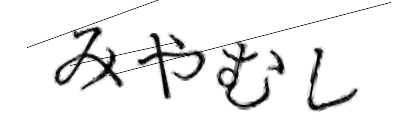 CAPTCHA画像