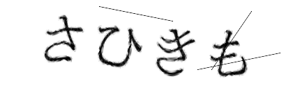 CAPTCHA画像