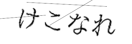 CAPTCHA画像