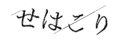 CAPTCHA画像